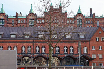 European buildings through trees in winter