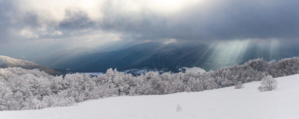 panorama of amazing idyllic landscape of the mountains during the cold winter  frosted bushes and sunshine breaking through the snowy clouds © Lens Down Under