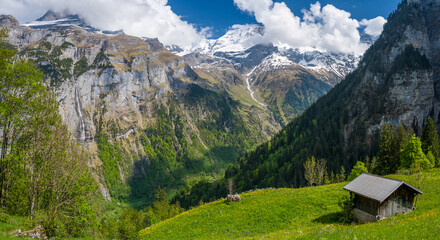 Fototapeta na wymiar amazing landscape on alps during spring in Lauterbrunnen in Switzerland