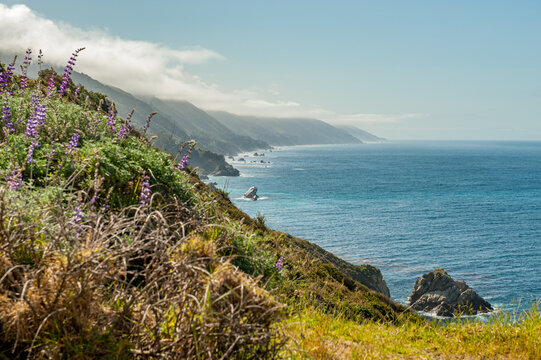 Big Sur coast  south of Monterey during spring in California