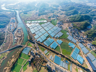 Aerial shot of greenhouses and plantations