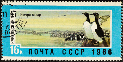 RUSSIA - CIRCA 1966: A stamp printed by Russia shows bird market, Kurile Islands.