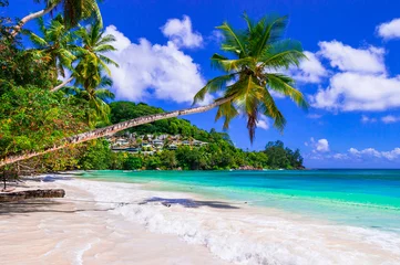 Keuken spatwand met foto Idyllic tropical nature of exotic Seychelles islands. Palm white sandy beach scenery © Freesurf