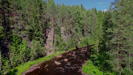 Nordic forest river landscape. evergreen pine trees on the mountain cliff. In the Swedish untouched wilderness. Ambjörby Värmland Sweden