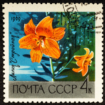 USSR - CIRCA 1969: A Stamp Printed In USSR Russia Shows Red Lily With The Inscription Slender Rus. Stroynaya From The Series Academy Of Sciences Botanical Gardens, Moscow .