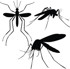 Mosquito insect silhouettes set