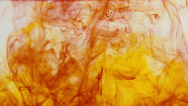 Abstract red and yellow colors float in water 1