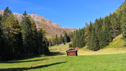 Mountain meadow in the Alps