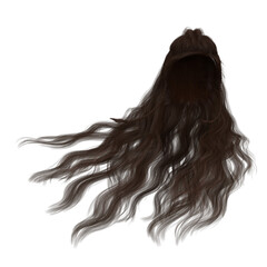 Long hair high fantasy isolated 3d render brunette brown