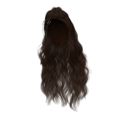 Naklejka premium Long hair high fantasy isolated 3d render brunette brown