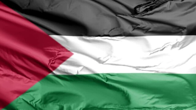 animate palestine national flag waving