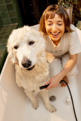 Young woman washing her cute white dog in bathtub at home. Concept of animal care, spa procedures for pets and friendship