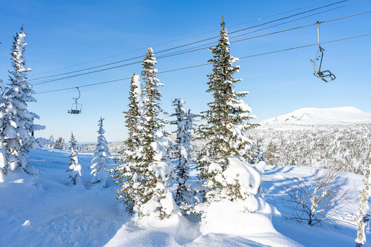 Two Chairs Of An Empty Chair Lift In A Ski Resort At Sunny Day. Winter Holidays, Snow-covered Coniferous Trees