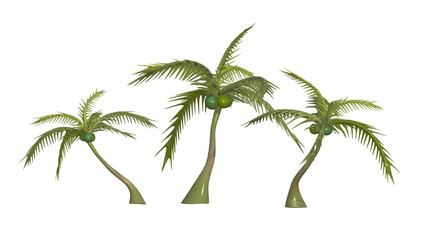 Coconut tree 3d objects 