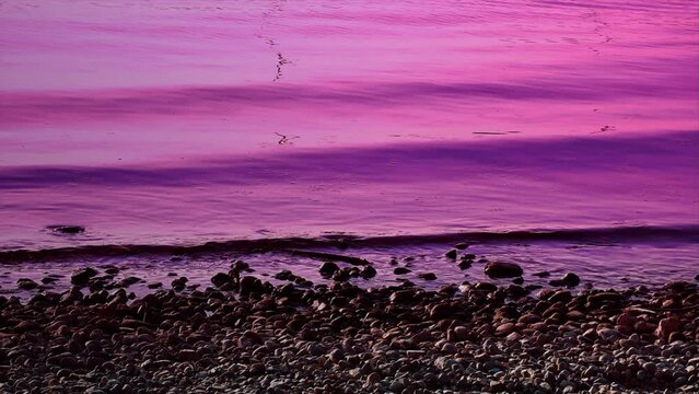 Waves and circles on the shore after a stone's throw in a lake.