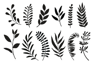 Set of leaves. Hand drawn decorative elements. Vector illustration
