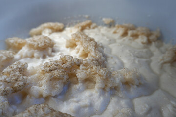 Beer yeast foam - alcohol fermentation process