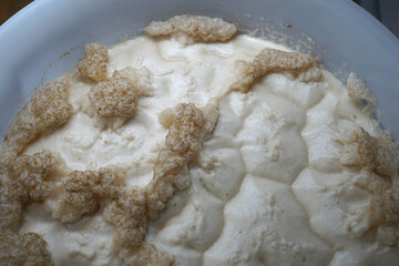 Fototapeta na wymiar Beer yeast foam in fermenter - alcohol fermentation process