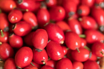 Ripe rose hips harvested for making preserves for the winter, close-up. Healthy eating.