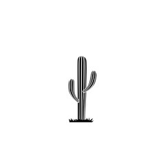 Cactus pot icon 