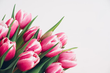 Fototapeta premium Beautiful bunch of fresh tulips in full bloom against white background, close up. Negative space for text. Spring flowers.