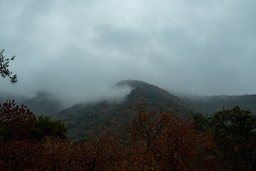 Foggy Mountain