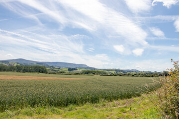 Fototapeta na wymiar Wales countryside of the UK.
