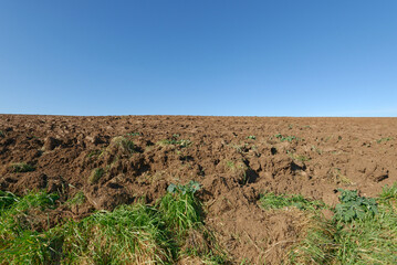 Ein frisch gepflügter Acker