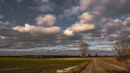 Billowing clouds over the fields of the polish countryside.