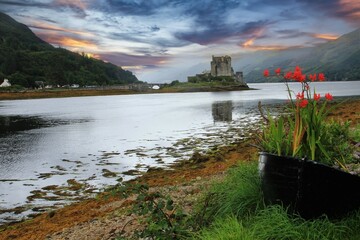 Fototapety na wymiar - Fototapeta24.pl