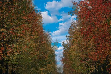 Fototapety na wymiar - Fototapeta24.pl