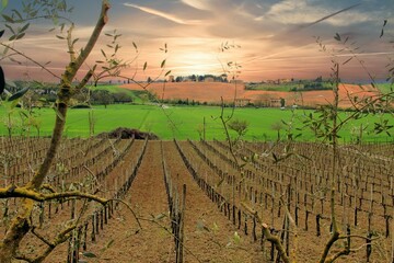 Fototapety na wymiar - Fototapeta24.pl