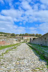 Fototapeta na wymiar The street of Velia, an ancient Greco-Roman city in the Salerno province, Campania state.