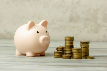 Piggy bank and book. College fees saving concept, copy space for text
