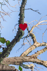Red heart on tree branches against the sky