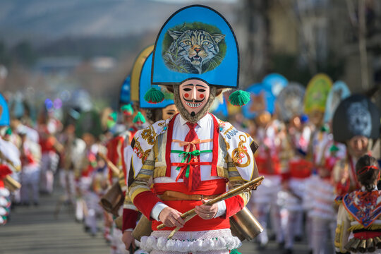 Los cigarrones de los Carnavales de Ver&iacute;n, Ourense