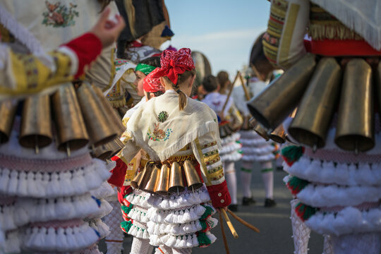 Los cigarrones de los Carnavales de Ver&iacute;n, Ourense