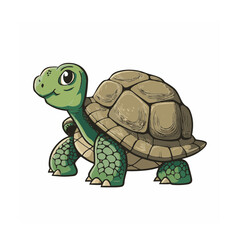 Little Turtle on isolated background
