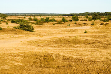 Kootwijkerzand, Kootwijk, Veluwe, Netherlands