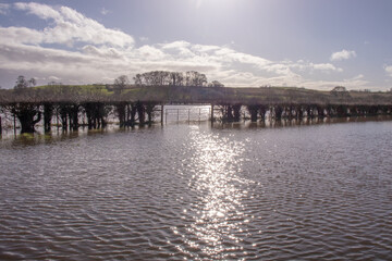 Fototapeta na wymiar Flood waters in Herefordshire.