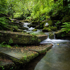 Merlin's Well, St Nectan's Glen, Cornwall