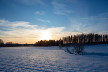 Wintry landscape wallpaper image from Finland on a cold winter day.