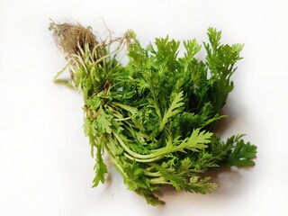 Leafy vegetable - Crown daisy, Japanese green or edible chrysanthemum. Scientific name - Glebionis coronaria. The plant's greens are used in many Asian cuisines. It is used in soup and stir fry.