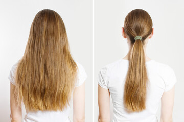 Fototapeta premium Closeup before after loose hair, pony tail back view isolated on white background. Quick and easy Hair-styles for clean long hair. A young woman with blond tied ponytail. Lazy home made hairstyles.