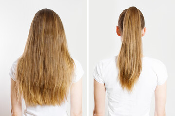 Closeup before after loose hair, pony tail back view isolated on white background. Quick and easy Hair-styles for clean long hair. A young woman with blond tied ponytail. Lazy home made hairstyles.