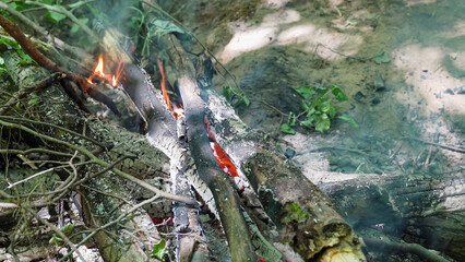 Bonfire of forest branches and sticks