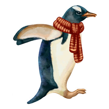 Illustration of south pole animals . High quality illustration