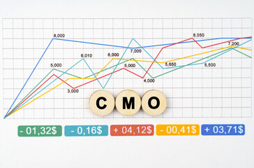 On the business chart are wooden circles with the inscription - CMO