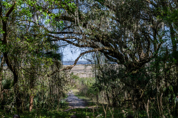 grass, plant, nature, leaf, summer, spring, leaves, macro, flora, foliage, closeup, garden, green, close-up, abstract, water, lawn, palm, growth, meadow, natural, field, freshness, plants, color