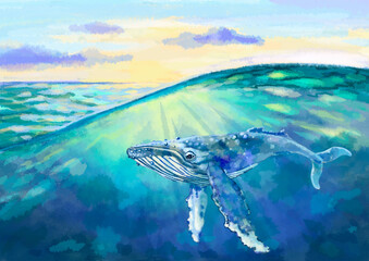 color illustration of a seascape with a swimming whale. High quality illustration